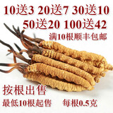 雄风道藏区雪域冬虫夏草 2根/克正宗虫草无断草礼盒装10根起拍