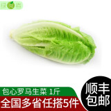 绿食者 包心罗马生菜250g 罗纹生菜凯撒沙拉蔬菜西餐沙拉食材 500g