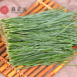 鑫正元 鲜松针 松针超细粉 长白山  马尾松针茶新鲜红松针五针全松茶 鲜松针3斤+送2斤