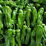 格沃斯（GEWOSI）现摘新鲜青椒农家自种青椒薄皮椒微辣芜湖椒椒应季新鲜蔬菜 3斤精选