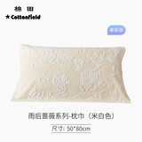 棉田枕巾纯棉纱布枕头巾无捻纱单人枕头毛巾透气吸汗枕巾 雨后蔷薇 米色单条装 50*80