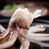 美加佳 鱿鱼头 净重1斤 鱿鱼须 鱿鱼爪 烧烤食材 铁板鱿鱼 年货聚餐