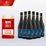 The Strong Sailor水手混酿干红葡萄酒750ml*6整箱红酒 智利进口红酒 热红酒