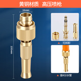 陆康园林黄铜喷嘴浇花增压喷头铜奶嘴直喷水枪洗车浇花快接头 (4分)黄铜高压直喷枪