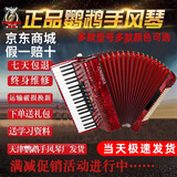 鹦鹉（YINGWU）鹦鹉键盘手风琴三四排簧老字号手风琴初学入门演奏厂家直接发货 48贝斯黑色