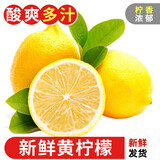 探味君 四川黄柠檬 产地直发 莫吉托 新鲜柠檬水果 带箱 60g-180g单果（30个装）