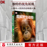 DK图解野生动物中小学生课外必读图解动物百科DK百科经典9787563730742绝美图像哺乳类鸟类爬虫类两栖类鱼类