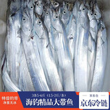 棠鲜生带鱼 精品特级海钓宽带鱼新鲜特大整条带鱼礼盒整箱节日送礼礼盒 6斤装（1.5-2斤/条）