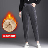 宠琳休闲裤子女2025春秋季新款加绒保暖女萝卜裤宽松显瘦韩版哈伦女装 灰色（加厚羊羔绒） L 建议105-120斤