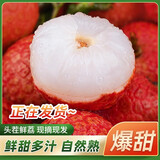 皇金蜜【顺丰/JD】广东茂名白糖罂荔枝 现摘当季孕妇新鲜水果荔枝整箱 净重4.5斤