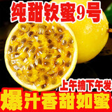 张小壮百香果 黄金果 广西钦蜜9号黄金百香果9号新鲜生鲜白香果水果 精选2.8-3斤单斤约11-13个