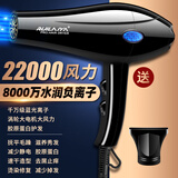 RUI LAI YA发廊专用电吹风机家用理发店9800W大功率负离子速干护发静音风筒 纯铜机芯送一升级加强版十年换新