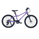 ETOKIDS出口轻便儿童自行车男女少儿童减震5-10岁小学生山地车学生车 绚紫色 22寸 紫色