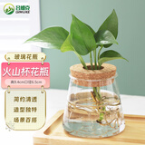 吕姆克玻璃花瓶水培容器创意植物花瓶透明水养竹子绿萝插花瓶火山瓶9034