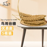闪兔 鹦鹉保健砂断奶学吃营养鸟粮谷穗玄凤虎皮鸟食牡丹磨牙逗宠饲料 优质黄谷穗5串（断奶神器） 鹦鹉专用粮