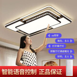 世界之星 智能现代简约吸顶灯LED客厅灯北欧全屋网红灯具套餐厅卧室灯具 智能语音90*60cm无极调光带遥控