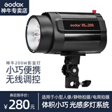 神牛（Godox） 200W/250W摄影灯影室专业闪光灯中小型影棚电商拍摄灯套装证件照美食影棚灯 200W闪光灯单灯【标配】