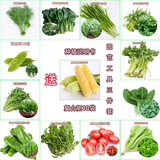 民汇园36种四季蔬菜花卉水果种子黄瓜四季豆豇豆草莓辣椒阳台庭院套装 套餐A13个品种+肥10袋+工具