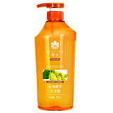 蜂花（BEE&FLOWER）洗发水生姜健发(男女士控油含啤酒花精华)            洗发水750ml