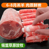 白云飘内蒙古锡盟整条羔羊肉卷5斤涮羊肉片新鲜火锅食材原切散养 (肥瘦相间)内蒙古羔羊肉卷10斤