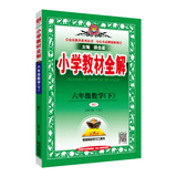 小学教材全解 六年级数学下 人教版 2021春