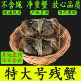 活蟹九指】云笙水榭大闸蟹鲜活螃蟹鲜活断腿蟹残次蟹掉腿超大螃蟹 公蟹4两母蟹3两共8只