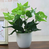 礼赫家饰仿真绿萝盆栽绿植套装塑料花家居室内客厅茶几绿叶阳台装饰品摆件 小号绿色绿萝+1号盆套装