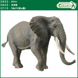 COLLECTA英国CollectA我你他仿真野生动物合集模型玩具认知 88966非洲象