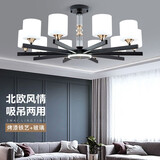 灯霓莱北欧客厅吊灯现代简约大气家用轻奢卧室餐厅灯2025新款套餐组合灯 B款10头配送LED白光