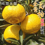 甜蜜有礼（现货）柚子黄金贡柚新鲜水果 大果 黄金贡柚精选装约9斤大号果