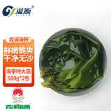 溢源【源头直发】有机盐渍海带苗 盐渍海带芽嫩苗凉拌凉菜煲汤 特大苗500g*2包