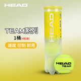 海德HEAD网球训练网球比赛练习球弹力耐打塑胶红土草地沙地通用网球 【1桶4粒装】TEAM网球