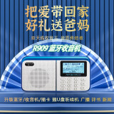 乐果（NOGO） R909便携式插卡音箱蓝牙音箱 可插U盘老人双波段收音机 校园广播低音炮大屏大字 蓝白 R909升级蓝牙版标配