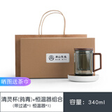 南山先生  清灵玻璃杯带把带盖茶水分离泡茶杯 高颜值耐高温玻璃杯套装简约家用办公加厚防烫大容量喝茶杯 清灵杯-55度恒温器组合-带过滤