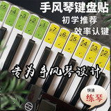 Blazefine手风琴键盘巴扬音位贴纸简谱通用右手B/C系统 初学入门五线谱琴贴 彩色区组琴键贴+擦琴布