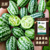 北蔬 拇指西瓜种子种苗水果迷你小西瓜种籽 拇指西瓜种子约50粒