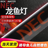 BOX&WATER博特龙鱼灯 NEC进口鱼缸照明灯水族灯金龙红龙银龙诱色增色专用灯 【日本NEC】白灯-128cm/40W