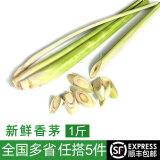 绿食者 新鲜香茅500g 柠檬草泰国冬阴功汤泰式料理调味香料菜奶茶店用品