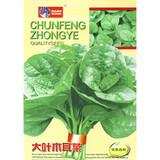 一播大地 蔬菜种子 苋菜 乌塌菜 黑心乌菜 黄心乌菜 易种阳台种菜 庭院蔬果菜籽春夏秋四季 大叶木耳菜种子原装5g