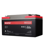 山特（SANTAK） 城堡系列电池免维护UPS不间断电源机房服务器专用阀控式铅酸蓄电池 C12-65AH