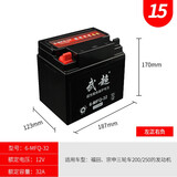 天能摩托车电瓶12V通用免维护弯梁助力125踏板车干电池蓄电瓶 15号:12V32A