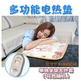 京弗 电热毯坐垫加热座椅可拆洗迷你小型小号宠物办公室宿舍小电褥子 花色随机无外套绒面45*45cm