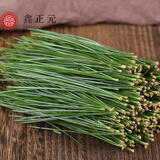 鑫正元 鲜松针 松针超细粉 长白山  马尾松针茶新鲜红松针五针全松茶 鲜松针500g+送250g