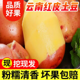 鲜福林云南红皮黄心小土豆   新鲜时令蔬菜马铃薯洋芋 中果5斤装