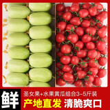 蔬香客健康轻食千禧西红柿小番茄圣女果水果黄瓜拇指黄瓜金童玉女釜山88 玉女黄瓜圣女果组合5斤