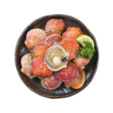 其他品牌鲜活小红扇贝700g/份（15-30个）
