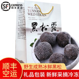 海篁山云南黑松露新鲜速冻 野生成熟冰鲜黑松露鲜菌菇年货团购送礼盒装 冰鲜黑松露2-3CM【500g尝鲜装】