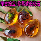 考古队长儿童考古挖掘玩具琥珀宝石恐龙化石美人鱼网红手工diy男女孩礼物 琥珀昆虫化石【昆虫种类几十种】 考古队长厂家【电商包装】