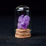 唯誠 天然水晶矿石标本岩石原石矿物晶体收藏品儿童科普教学礼物摆件 紫水晶簇加瓶子一套