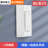 国际电工床头开关家用手捏明装按钮单控小开关电台灯船型开关按钮 （2只装）白色单控 开关